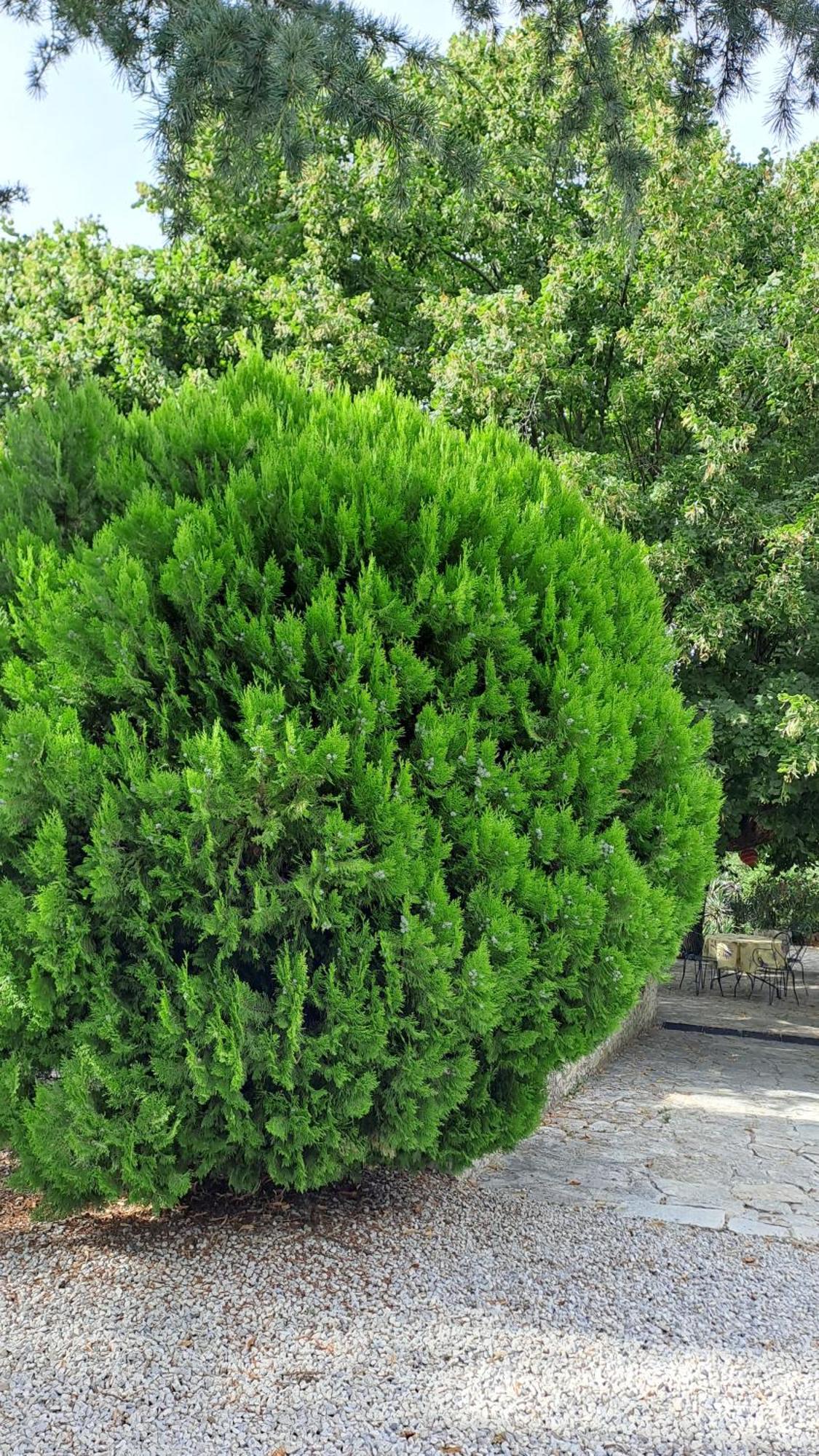 Le Gite Tilia Sablet Luaran gambar